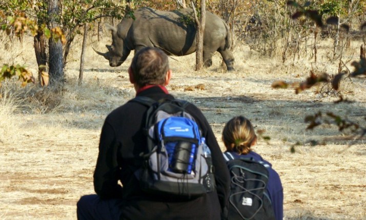 Rhino walk