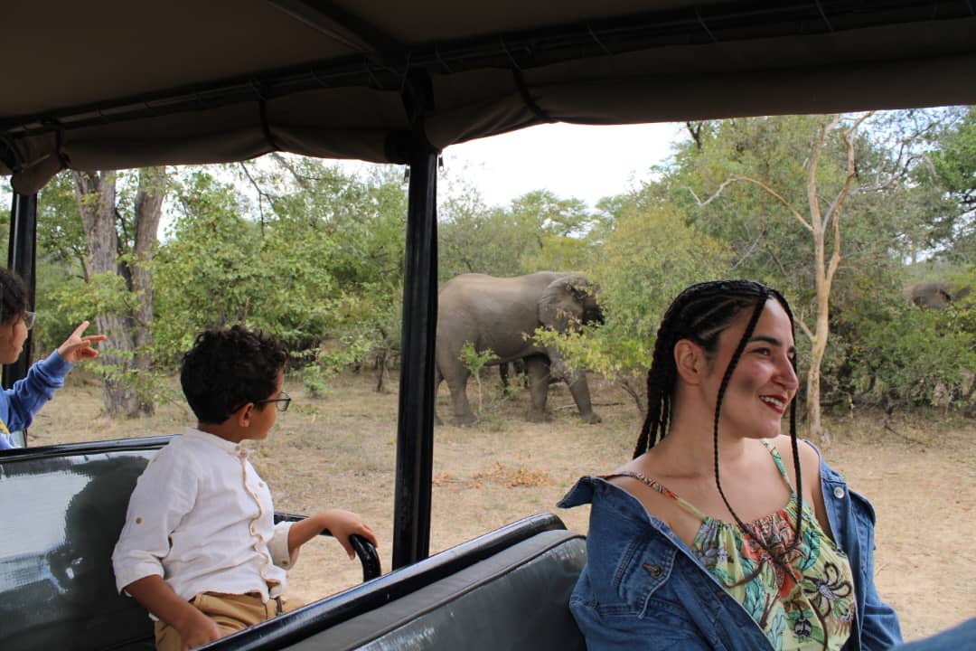 Game Drive and Sunset Boat Cruise Livingstone
