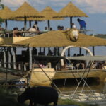 Beauty of Livingstone
