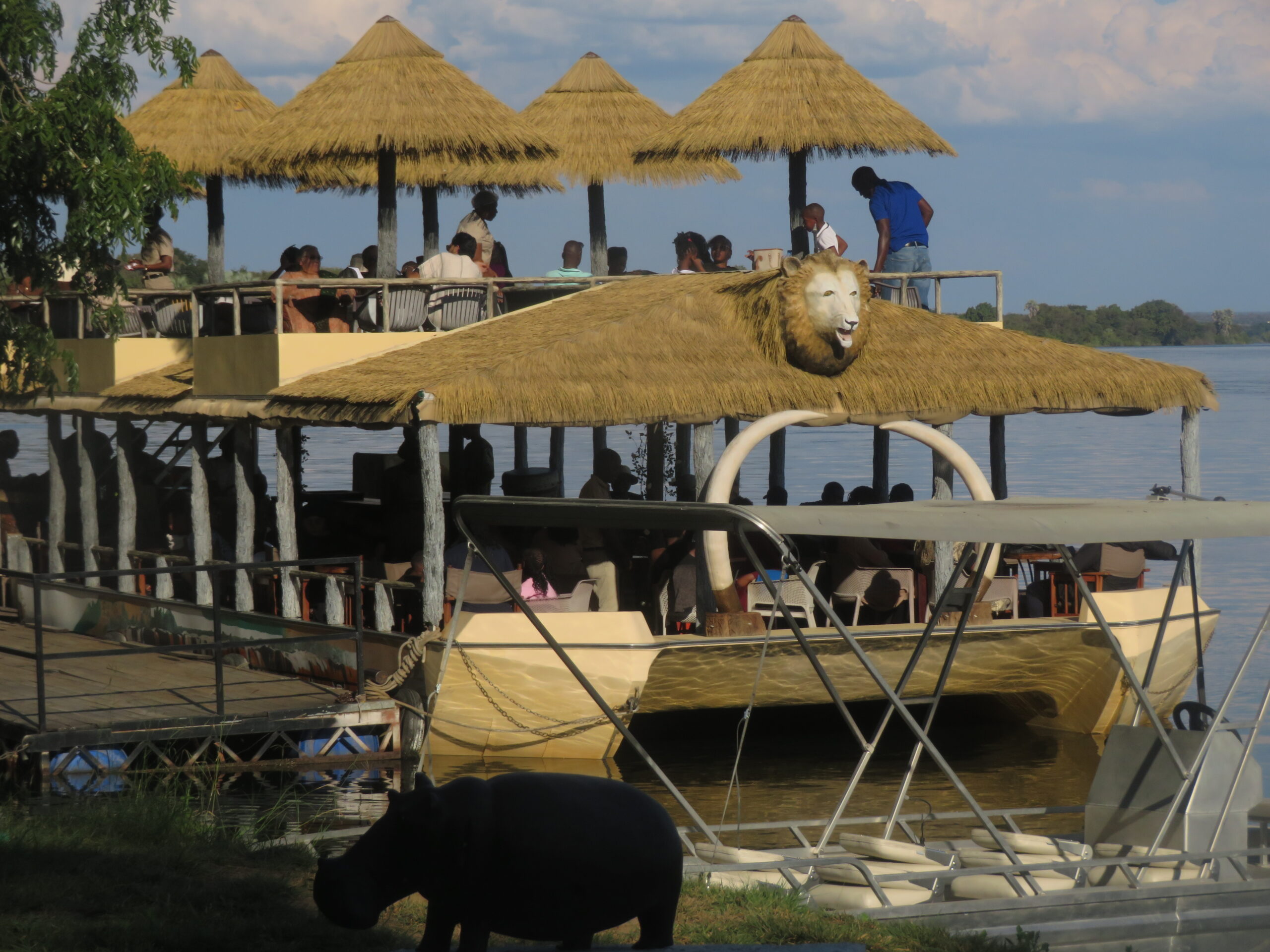 Beauty of Livingstone
