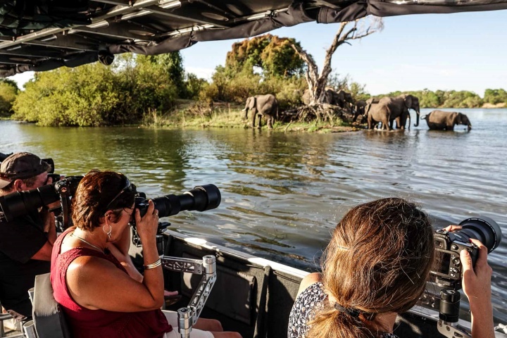 African eye guests eles