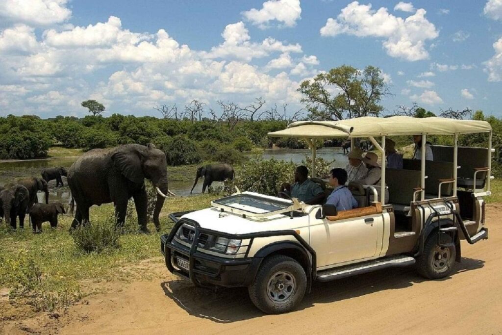 Mosi-oa-Tunya Game Drive & Rhino Walk